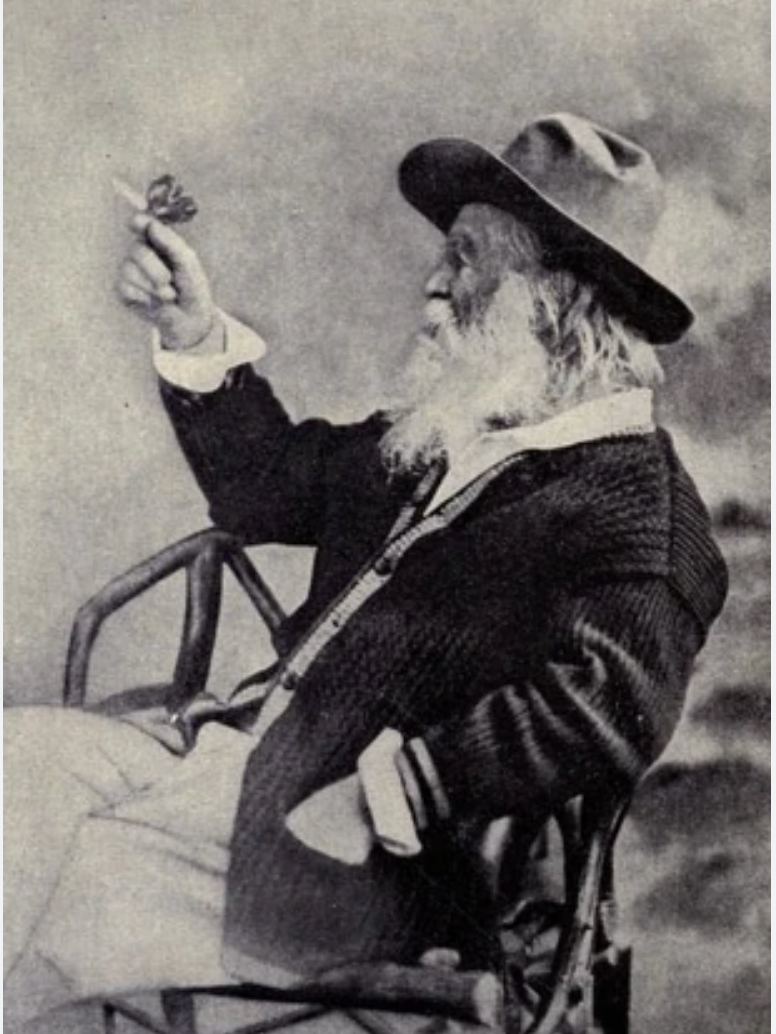 O'Captain! My Captain! Business Membership